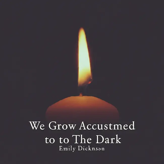 "We Grow Accustomed to the Dark" by Emily Dickinson: Analysis