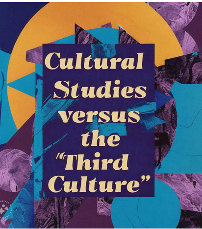 "Cultural Studies versus the "Third Culture" by Slavoj Žižek: Summary and Critique